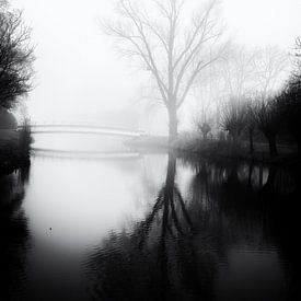 Stille des Nebels von Jan van der Knaap