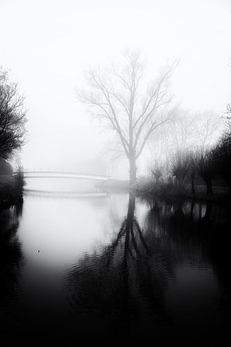 Stilte van de mist van Jan van der Knaap