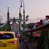 Liberty Bridge, Boedapest van Judith van Wijk