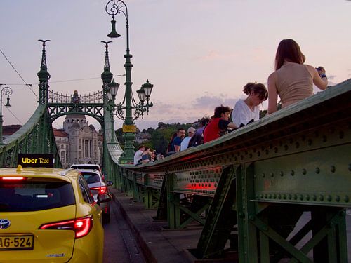 Liberty Bridge, Boedapest