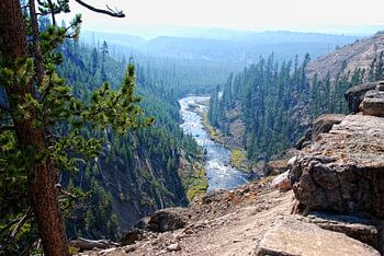 YELLOWSTONE NATIONAL PARK -  USA