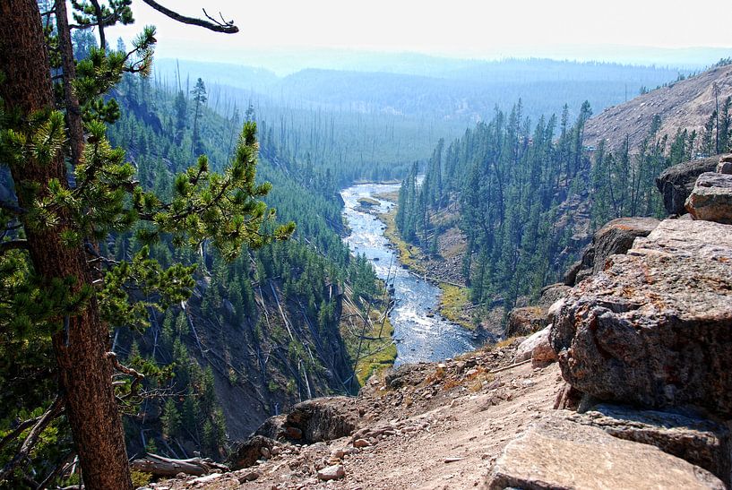 YELLOWSTONE NATIONAL PARK -  USA by Roelof Touw