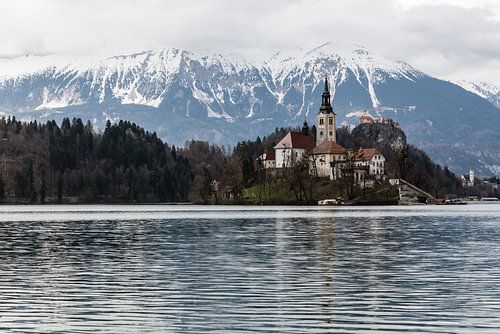 Bleder See (Slowenien)