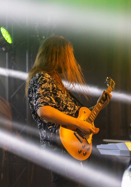 Gitarre Mann von Ton Tolboom