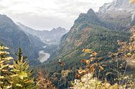 Wimbachtal I par Michael Schulz-Dostal Aperçu