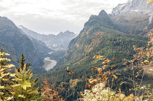Wimbachtal I