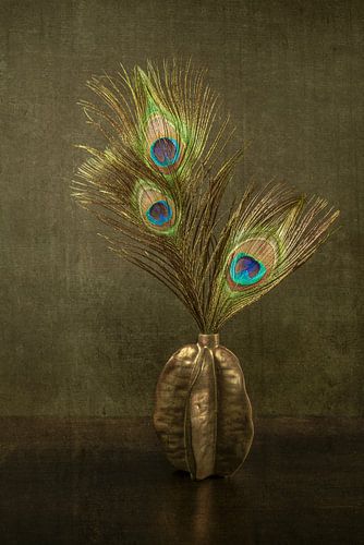 Nature morte Plumes de paon Bohème. Impressionnisme