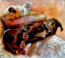 Cat And Dog Truce by Dorothy Berry-Lound