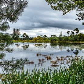 Look through to Leersumseveld von Ron van Ewijk