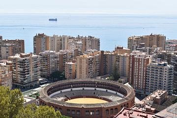 Uitzicht op de arena en de stad Malaga van Claude Laprise
