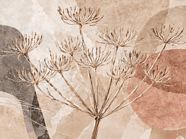 Botanische Mixed-Media-Kunst: Beruhigender getrockneter Bärenklau