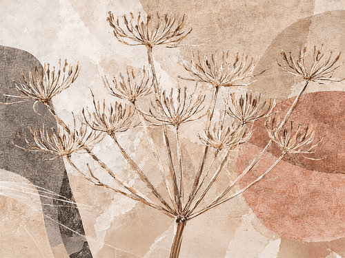 Art botanique en techniques mixtes : la berce séchée, source d'apaisement
