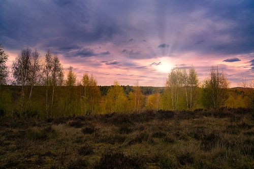 Coucher de soleil