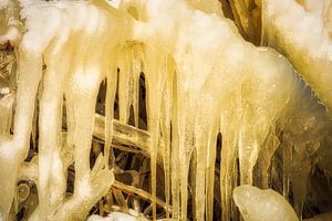 Ice sculpture