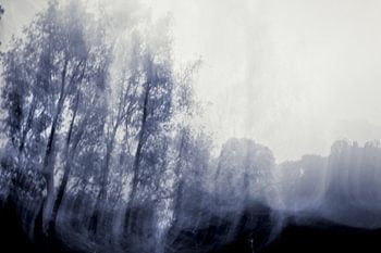 La tranquillité bleue des Pays-Bas