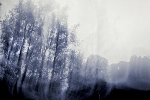 Blaue holländische Gelassenheit