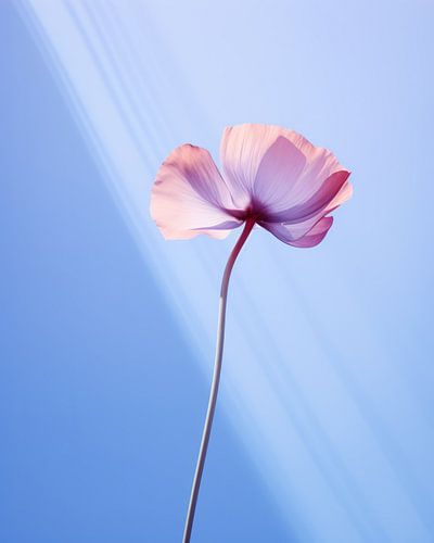 Blume in Pastellfarben