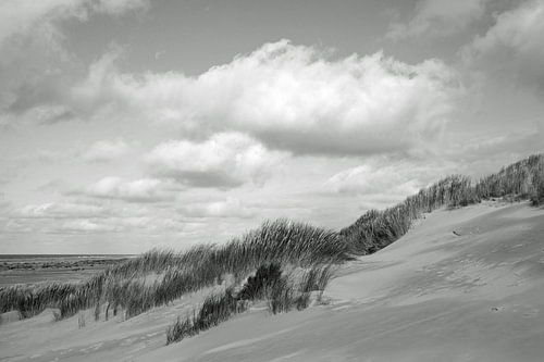 Duinlandschap in Nederland
