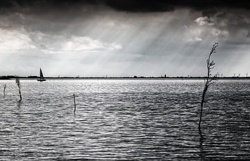 Sint Jacobsladders boven de Westerschelde, Zeeland van René van der Horst