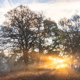 Zonsopkomst in Westerwolde van Johan Mooibroek