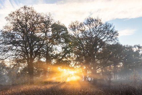 Sunrise in Westerwolde