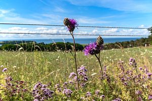 Groß Zicker, Blick zum Klein Zicker, den Zicker See und die Ostsee, Rügen