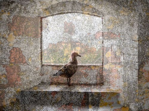 S'échapper d'Alcatrza