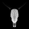 Carré de crâne de taureau sur Justin Sinner Pictures ( Fotograaf op Texel)