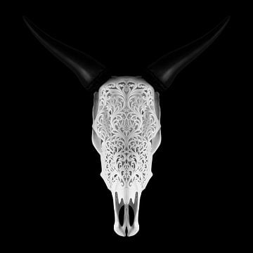 Bull Skull square