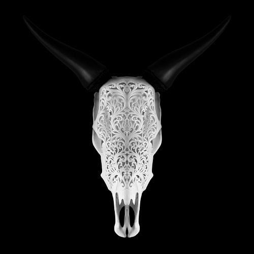 Bull Skull vierkant