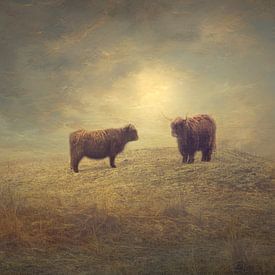 Scottish Highlanders by eric van der eijk