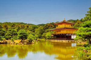 Der goldene Tempel 2