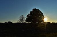 Coucher de soleil en Suède