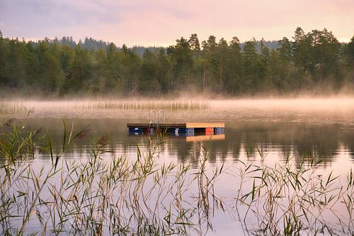 Drijvend eiland in een Zweeds meer