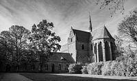 Monastère de Chorin