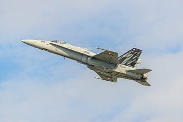 F/A-18 Swiss Hornet Solo Display Team. by Jaap van den Berg