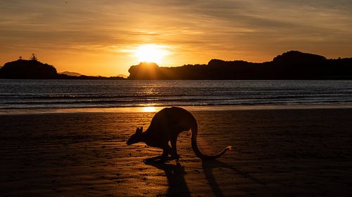 Lever du soleil au cap Hillborough