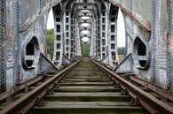 Die verlassene Brücke von Ben van Sambeek Miniaturansicht