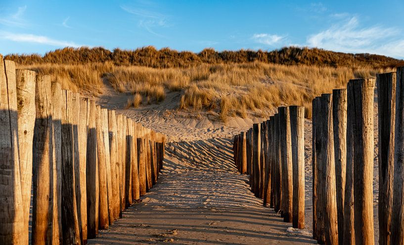Beach posts in evening light by Percy's fotografie