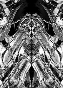 BLACK & WHITE CURIOSITY v3