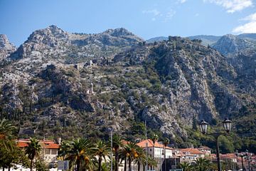 Forteresse de Kotor sur t.ART