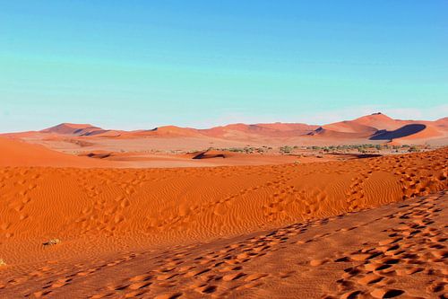 Empreintes de pas à Deadvlei