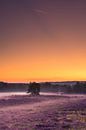 Heath landscape by Luuk Belgers thumbnail