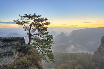 Dageraad in Saksisch Zwitserland van Michael Valjak