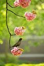 Amsel und Blüte von Lars van de Goor Miniaturansicht