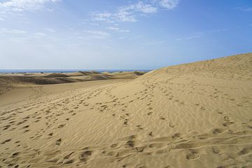 Dunes de sable sur Nicole