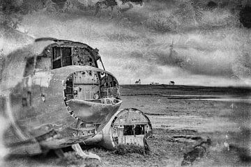 Vliegtuigwrak Douglas DC3 in het noord oosten van IJsland van Ron van der Stappen