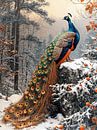 Peacock by Max Steinwald thumbnail