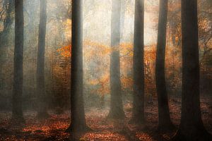 Automne