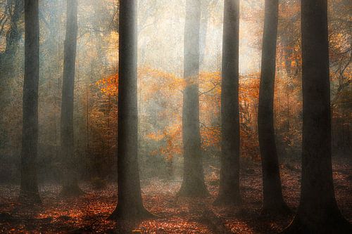 Autumn by Loulou Beavers